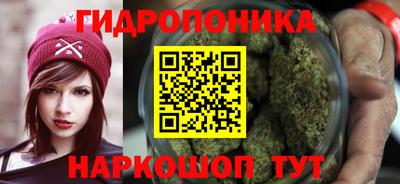 СК Гатчина