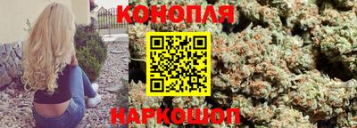 СК Гатчина