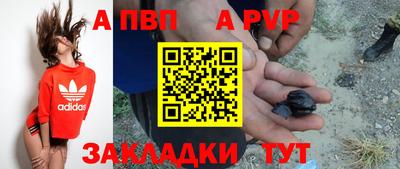 СК Гатчина