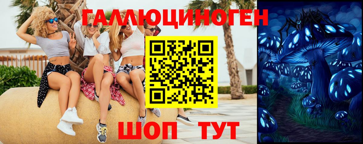 Дальнереченск  дарнет шоп  Вход с VPN  Псилоцибиновые грибы Psilocybine cubensis 